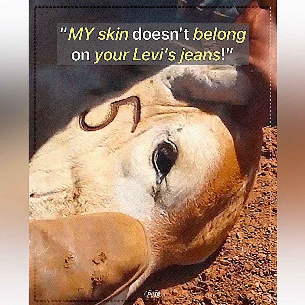 👖👖👖DITCH THE LEATHER PATCHES ON CLOTHING! - Picture 2 of 3